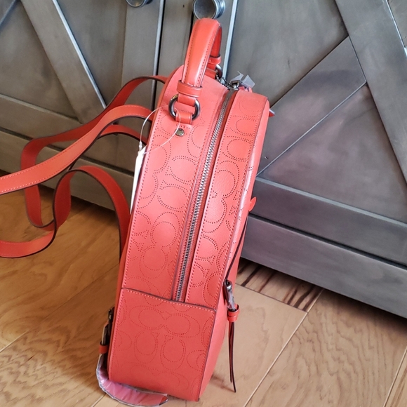 Backpack - Picture 6 of 6